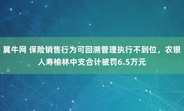 翼牛网 保险销售行为可回溯管理执行不到位，农银人寿榆林中支合计被罚6.5万元
