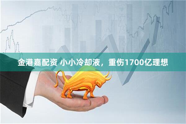 金港嘉配资 小小冷却液，重伤1700亿理想
